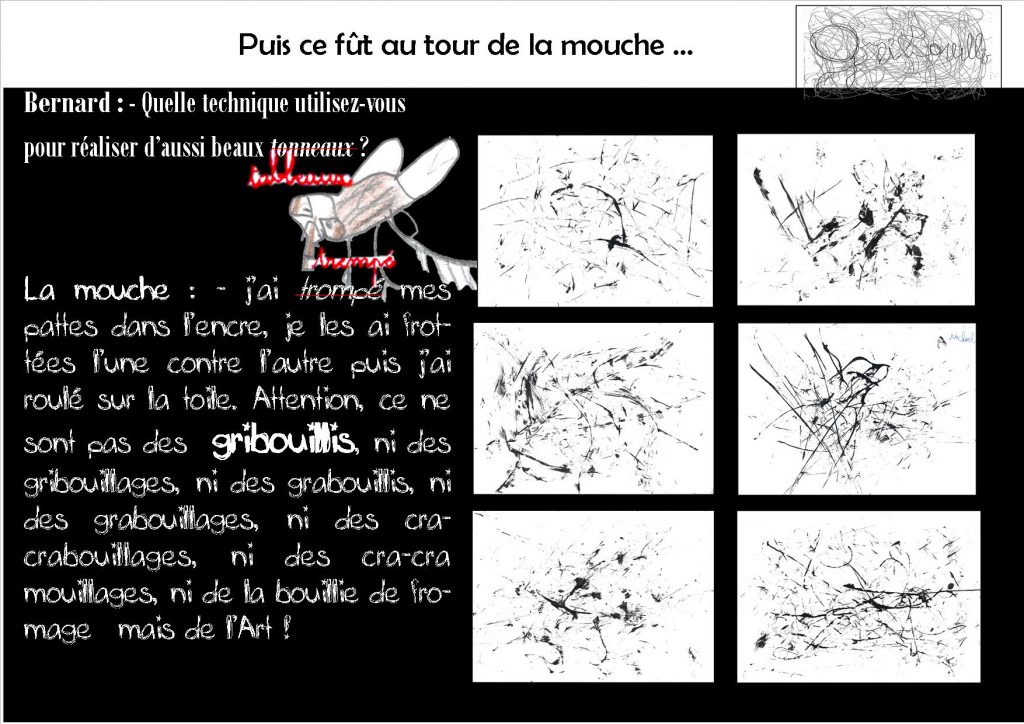 pattes de mouches 11 Circonscriptions Vesoul 2 Vesoul 3